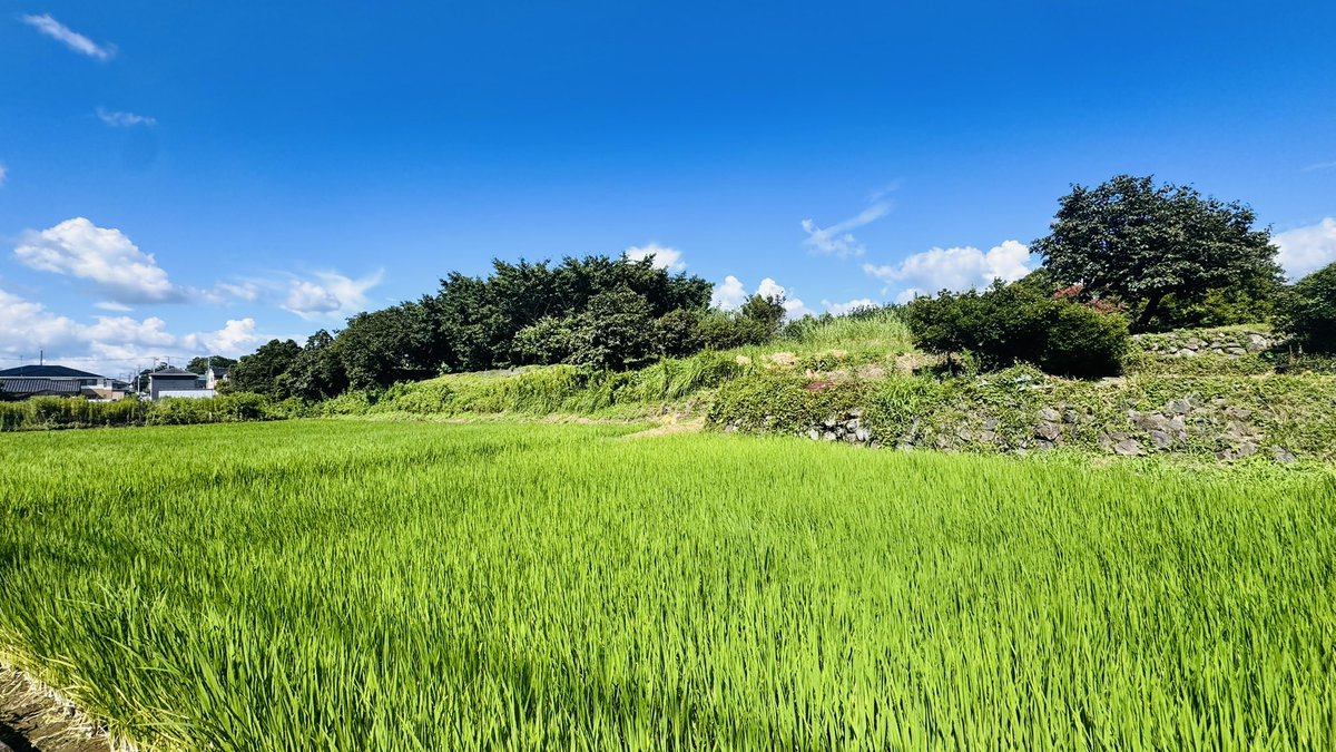 shimI_long's tweet photo. 帰省して毎回思うけど、
やっぱ地元の匂い好きだなー空気美味しいなーと https://t.co/v2HZ8NJCyr