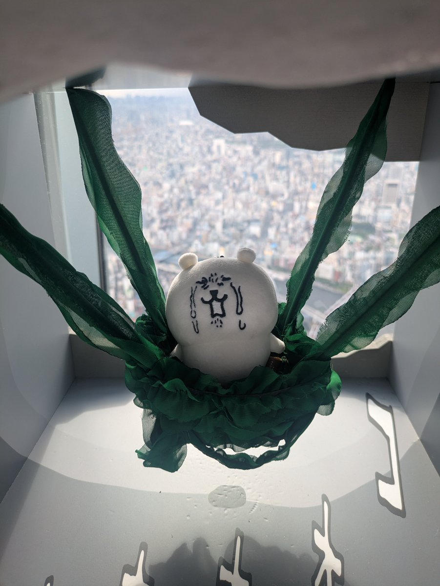 cihirosan's tweet photo. スカイツリー最高のフォトスポットで草 https://t.co/mmEmZKXulC