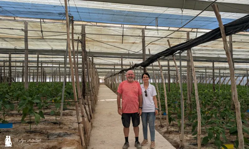 jaarcossanchez's tweet photo. 📢Green Care es el nuevo plástico de cubierta que reduce temperatura y blanqueo
📝https://t.co/bhp0a9gtUK
📌#GreenCare es un nuevo #plástico de cubierta de #Agriplast que distribuye en exclusiva en #Almería el almacén de insumos #FraimherAgro
#invernaderos #greenhouses #plasticultura