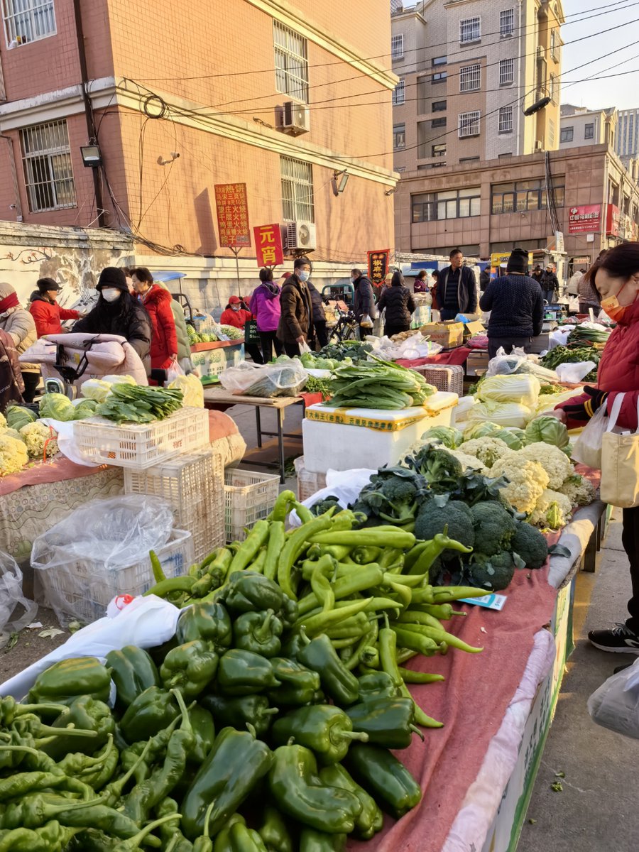 Fajar170899's tweet photo. Fresh organic veggies u0026 grass-fed meat in stock! Perfect for your weekend meal prep—grab local picks today at the farmers’ market. #FreshEats #LocalFood https://t.co/4TiYab59NM