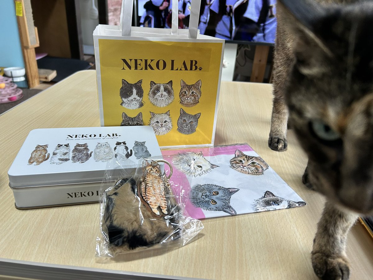 akarin23795569's tweet photo. 駅ビル(エスパル)にあったよ、って貰ったお土産 #NEKOLAB https://t.co/5RHtCsL5LA