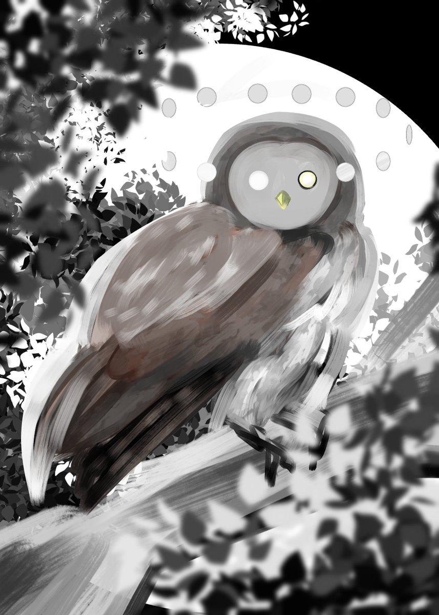 a_maume's tweet photo. ラクガキ。ﾎｳﾎｳﾎｰｳ🌕🦉 https://t.co/J7cvT31Ii0