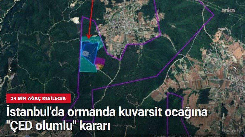 kuzeyormanlari's tweet photo. İstanbul'un yegane suyu, nefesi, sağlığı; ağır yaralı Kuzey Ormanları'nda her gün yeni bir maden yıkımına onay veriyorlar!

Bakanlık, İstanbul Çatalca ilçesi Kalfaköy mevkimizi tahrip eden kuvarsit ocağının kapasitesi artırım projesine "ÇED Olumlu" kararı verdi. Proje dosyasında 24 bin 536 ağacımızın daha kesileceği öngörülüyor.

İstanbul’u betona boğmak için gereken inşaat malzemesini çıkarsınlar diye, yine İstanbul’un yegane yaşam kaynağı olan binlerce yıllık kadim bir ormanın bir kez daha delik deşik edilmesine izin verdiler.

Çevre Şehircilik Bakanlığı, İstanbul'un Çatalca ilçesinde Burhanettin Soğancılar tarafından işletilen ve Çatalca Köyleri ve KOS tarafından daha önce faaliyete kapattırılan kuvarsit ve kuvars kumu ocağı kapasitesi artırımı projesine "ÇED Olumlu" kararı verdi.

İnanabiliyor musunuz çevreyi korumakla görevli  Bakanlık mevcut halde zaten on binlerce ağacı, su kaynaklarını keserek bölgeyi cehenneme çevirmiş olan bir taş ocağına "kum çıkarmak" için on binlerce ağaç daha kesebilirsin dedi.

Kuzey Ormanları'nın ve köylerimizin sesi olun, bu akıl ve vicdan dışı doğa yıkımına #KuzeyOrmanlarıYıkımınaSon verilsin!

https://t.co/hWUDUCTBWE