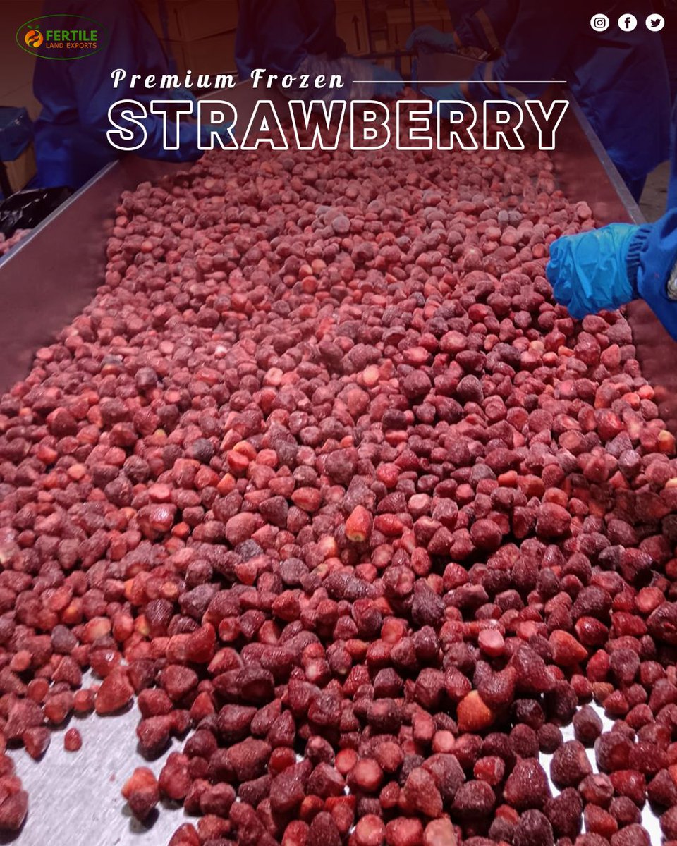 FertileL55544's tweet photo. Reliable bulk supply of Premium Egyptian IQF Strawberries for global buyers. 🍓

Fertile Land Exports offers the perfect balance of quality and volume. Direct from Egypt to your distribution network. 

Contact us:🌐 📧 📲 WhatsApp: +20 12 21166523

Hashtags: #B2B #FoodExport https://t.co/JMk9PgKxxc