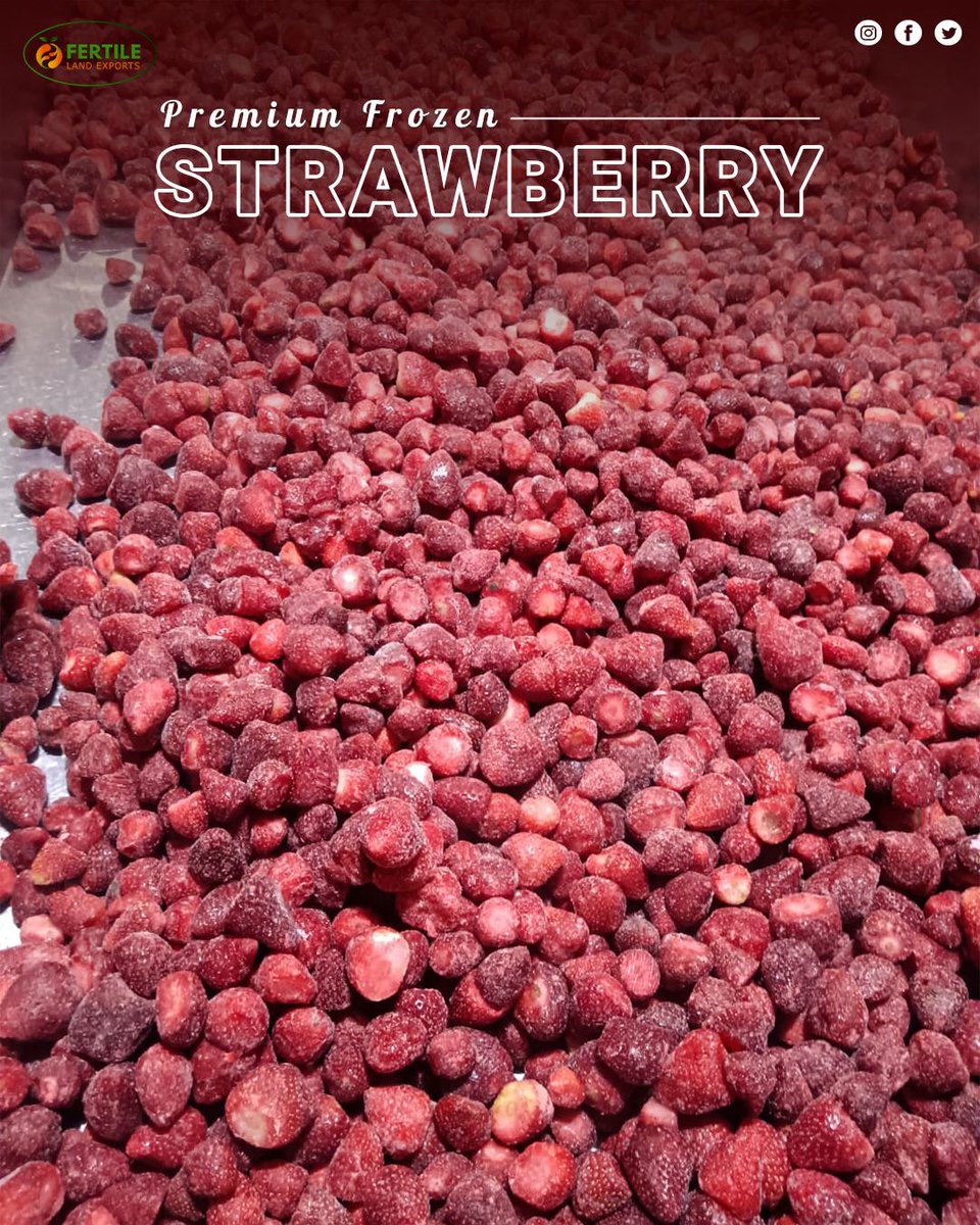 FertileL55544's tweet photo. Reliable bulk supply of Premium Egyptian IQF Strawberries for global buyers. 🍓

Fertile Land Exports offers the perfect balance of quality and volume. Direct from Egypt to your distribution network. 

Contact us:🌐 📧 📲 WhatsApp: +20 12 21166523

Hashtags: #B2B #FoodExport https://t.co/JMk9PgKxxc