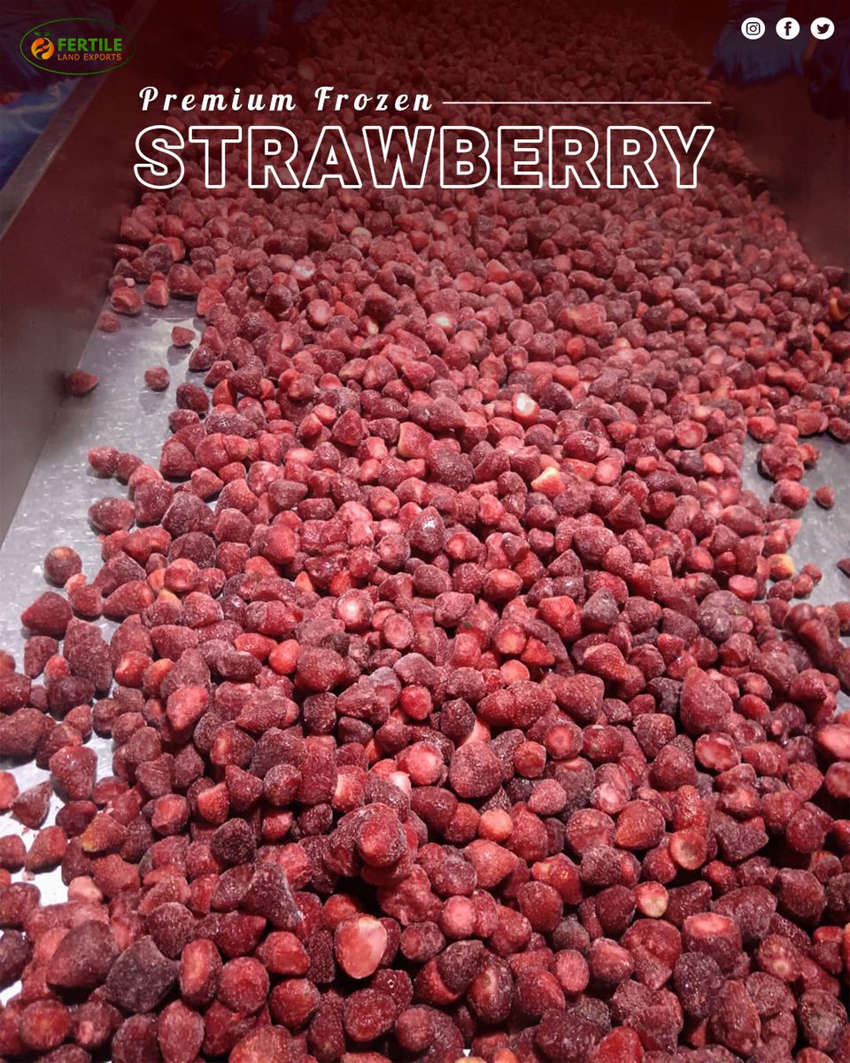 FertileL55544's tweet photo. Reliable bulk supply of Premium Egyptian IQF Strawberries for global buyers. 🍓

Fertile Land Exports offers the perfect balance of quality and volume. Direct from Egypt to your distribution network. 

Contact us:🌐 📧 📲 WhatsApp: +20 12 21166523

Hashtags: #B2B #FoodExport https://t.co/JMk9PgKxxc