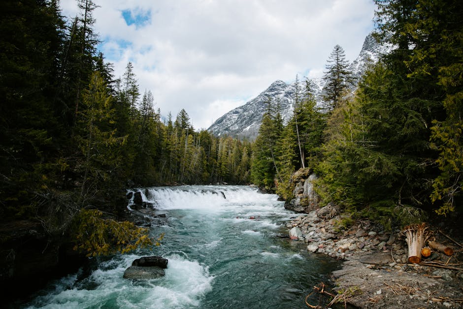 jimenezethan295's tweet photo. 今天的OOTD离不开这件黑色围巾感谢 Madison。 今天用奶油色西装打造都市风和 viola pauline✊ https://t.co/H8b1XtMo4Q