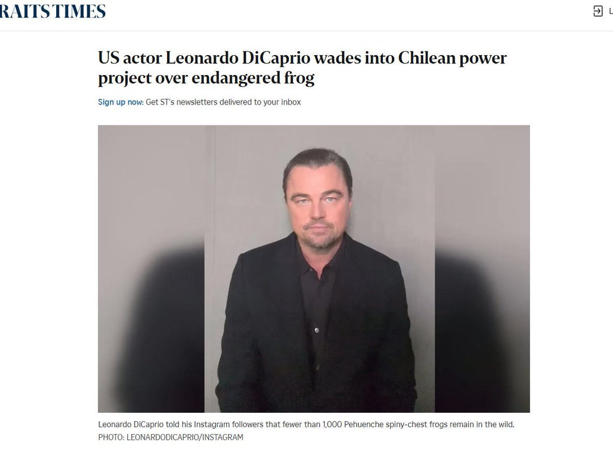 Tojijunior's tweet photo. Leonardo DiCaprio has been posting these frogs on Instagram telling ppl to help them 

And they’ve barely raised anything 

Another instance where memecoins can show an A list Hollywood celeb that their best use case is bridging the gap between vitality and fundraising 

Edit: LEO DICAPRIO OWNS THIS CHARITY 

MILLIONS

6SyrTPpPTUphxKneTaZFnJPu1h8ArWvoie4xHumNpump

@mickeymantled copied 😁