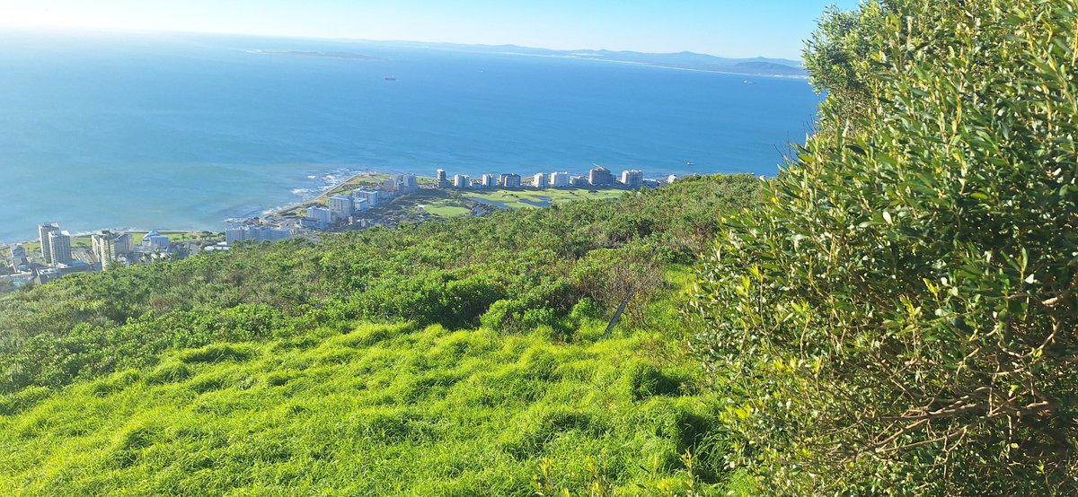 SkyringTV's tweet photo. Views of Cape Town https://t.co/z3OlbCQlcM