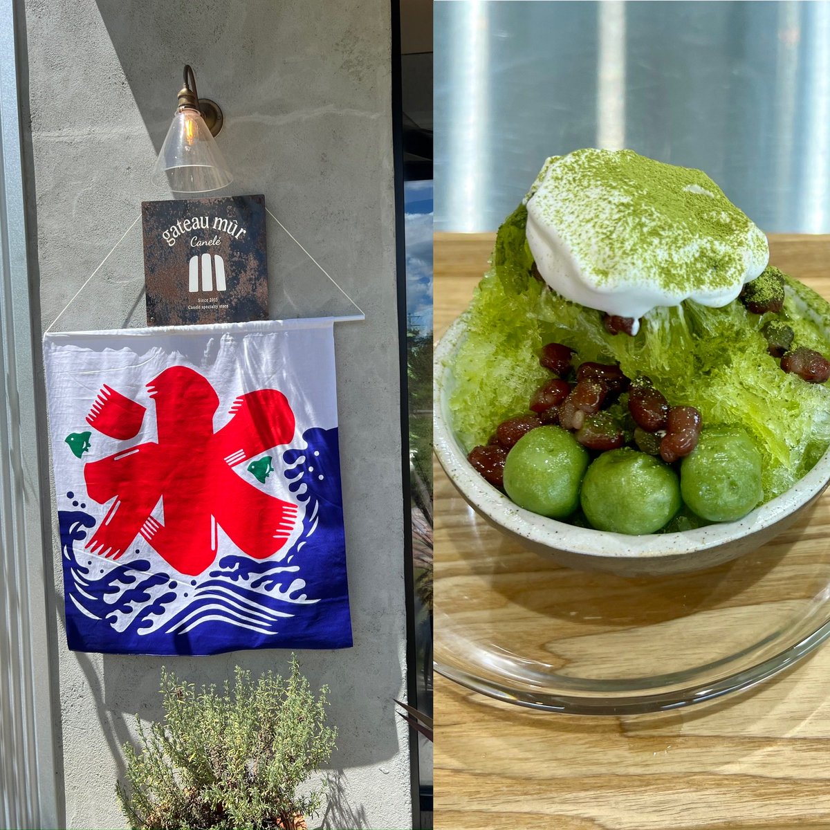 gateau_mur's tweet photo. 8/13日より念願のかき氷🍧始めます
残暑まだまだ厳しい日が続いていますので
皆様お身体に気をつけてくださいませ

ぜひガトーミュールに涼みにいらして下さい＾＾

店長推しは　黒蜜きなこのアイストッピング追いきな粉です🥰 https://t.co/nhV92jh2Eh
