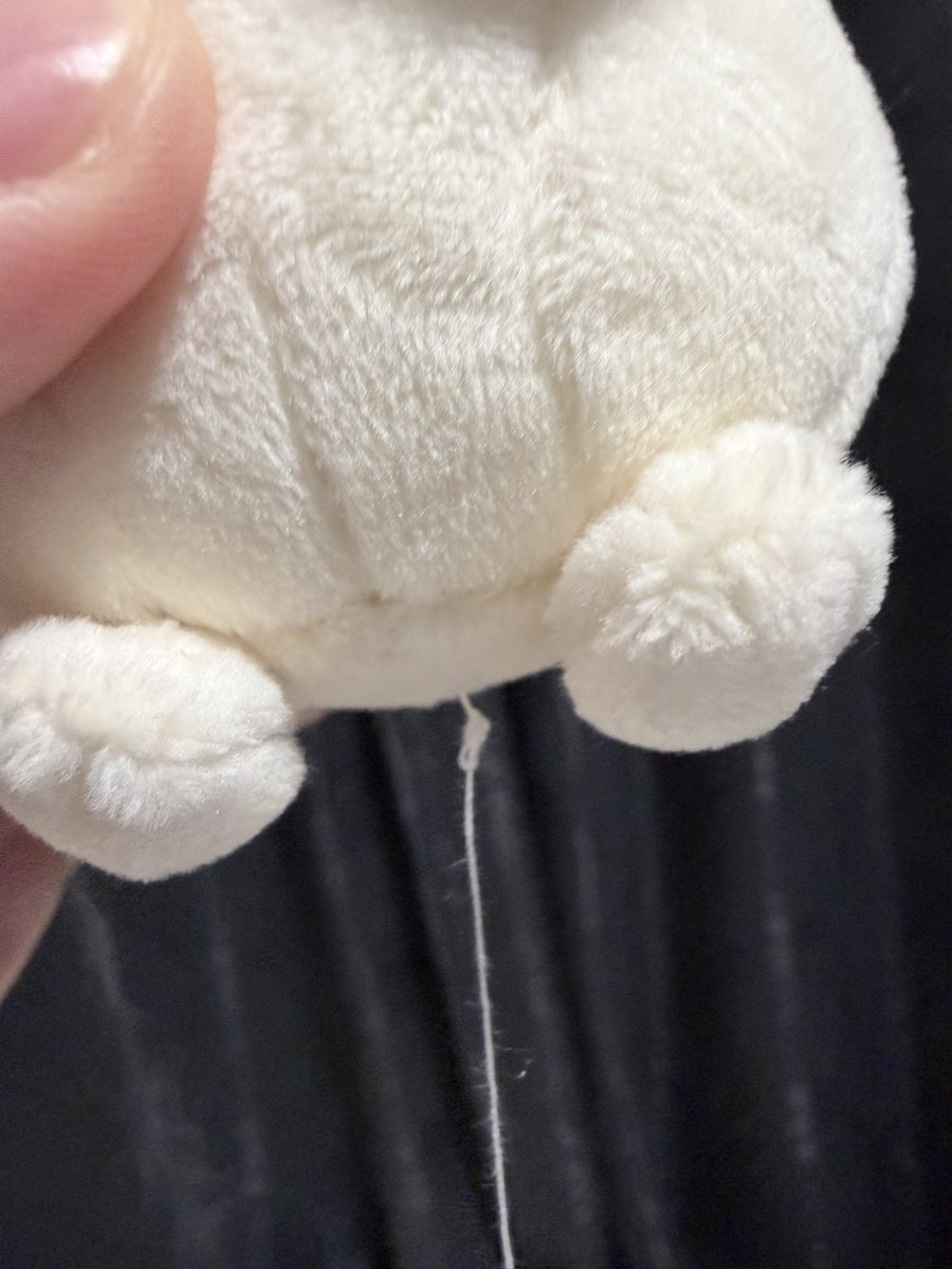 imitati06249201's tweet photo. うすちゅうのタグ摘出手術後に縫ったら失敗して
サナダムシに寄生されたみたいになった
悲しみ深い。
#ピカチュウ
#うすちゅう https://t.co/0S2aG7gpGS