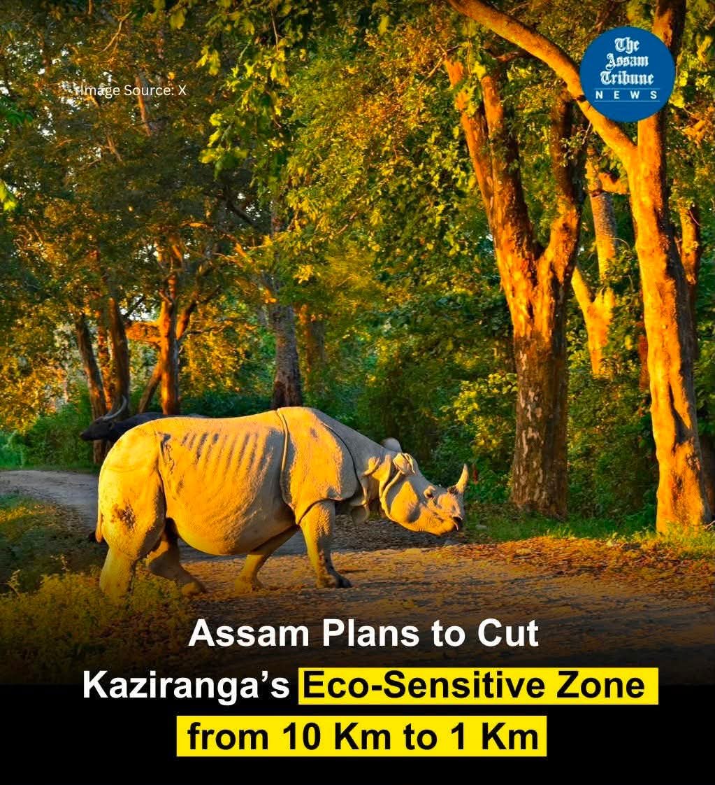 namratata's tweet photo. @aboyobbhuyan @himantabiswa What about this https://t.co/ohwVzKqgFz