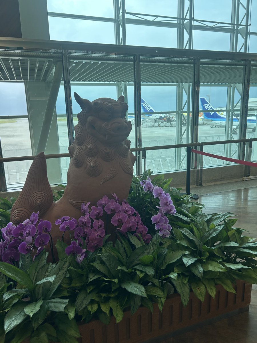 Akemi09015's tweet photo. 那覇は小雨模様☔️
到着後まずはこちらへ💁♂️
🏝️イオンでトヌン🤭
この夏、全国のイオンでtonun の
bubble summerが流れるの巻
#tonun #bubblesummer https://t.co/IrnzY7ZXUN