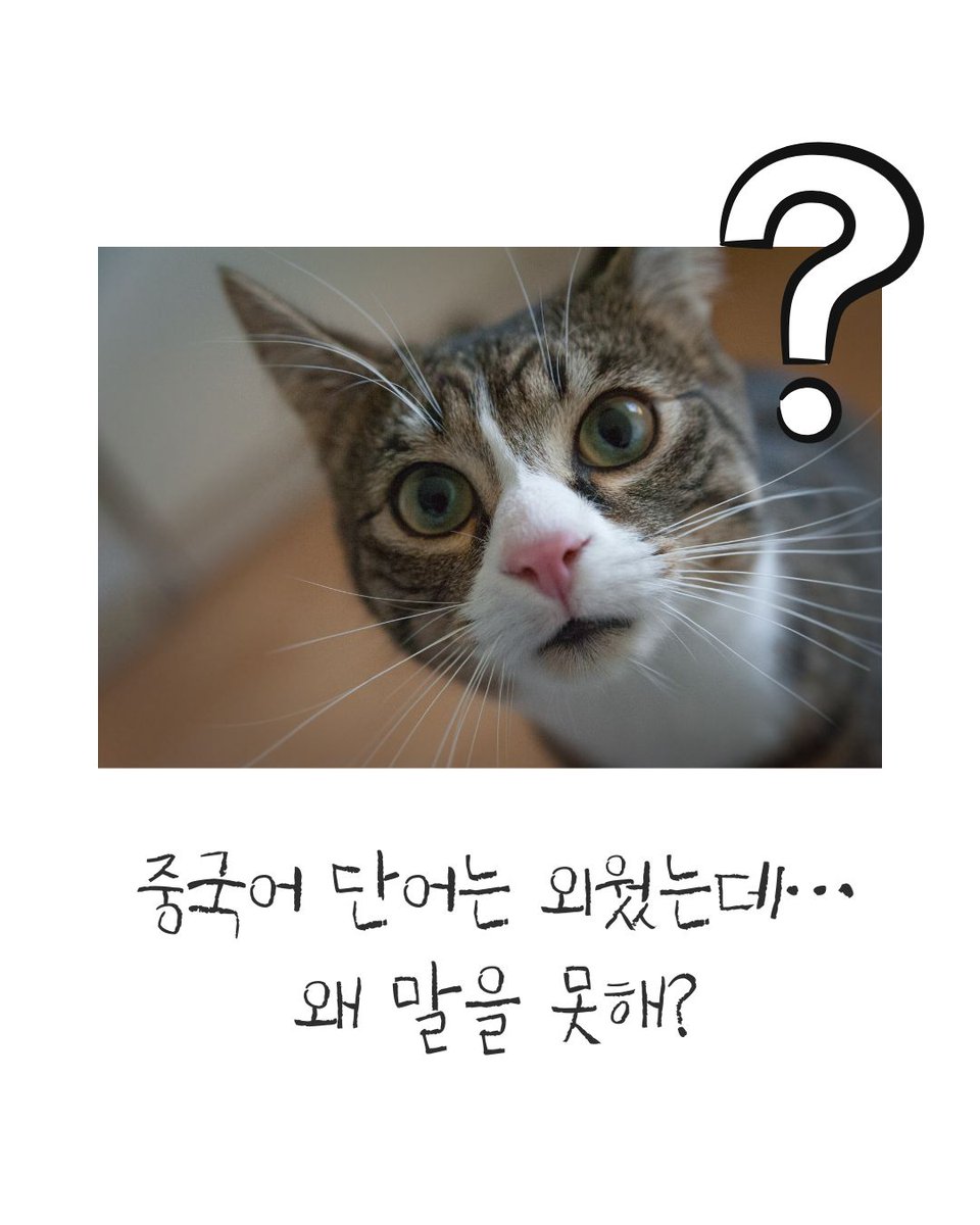 darakwon tweet picture