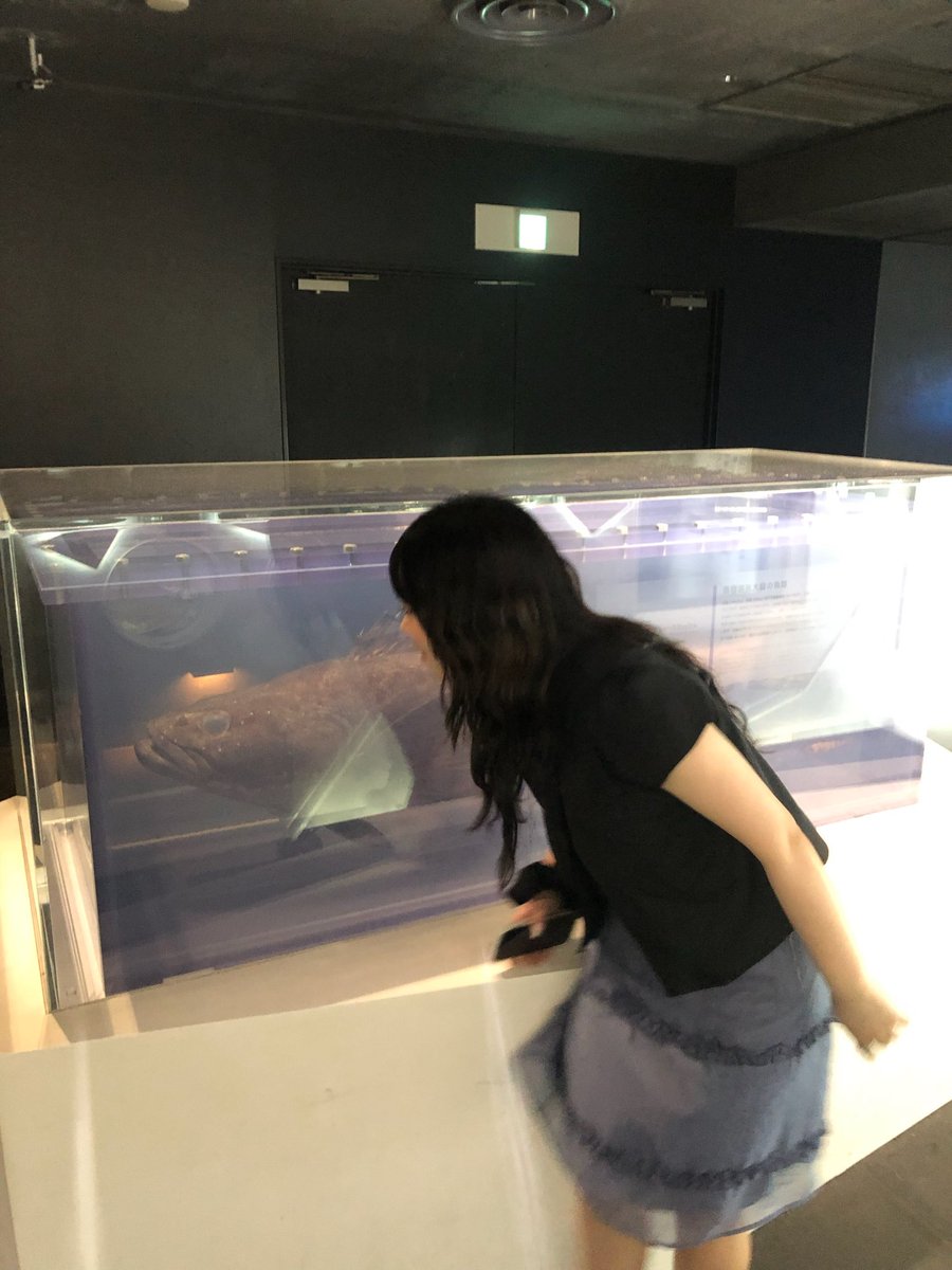 2om4_'s tweet photo. スカートと同じ色の水槽🪻 https://t.co/Qjt8A4cTea