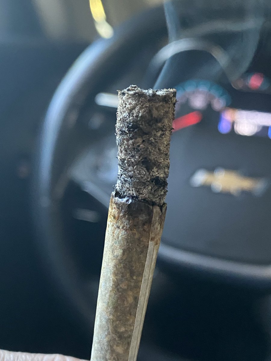 Audi_RS_'s tweet photo. This smells beautiful 😮‍💨😶‍🌫️🍃 https://t.co/2Plg82zvD6