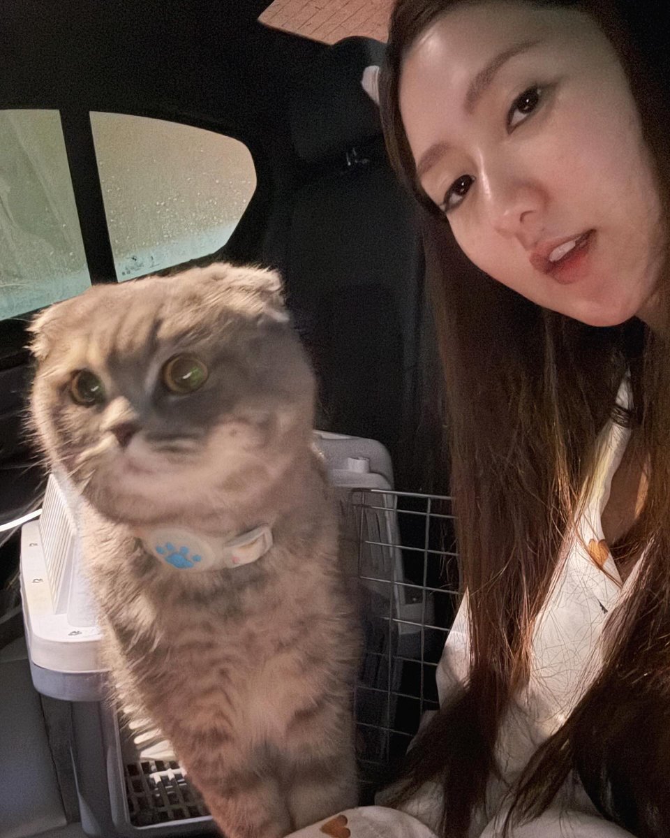 ramiali14's tweet photo. 人生で一番美味しかった食べ物、一つだけ選ぶなら何。これってあるあるだよね。 👀
ogLXg https://t.co/hYyEgN9EAS
