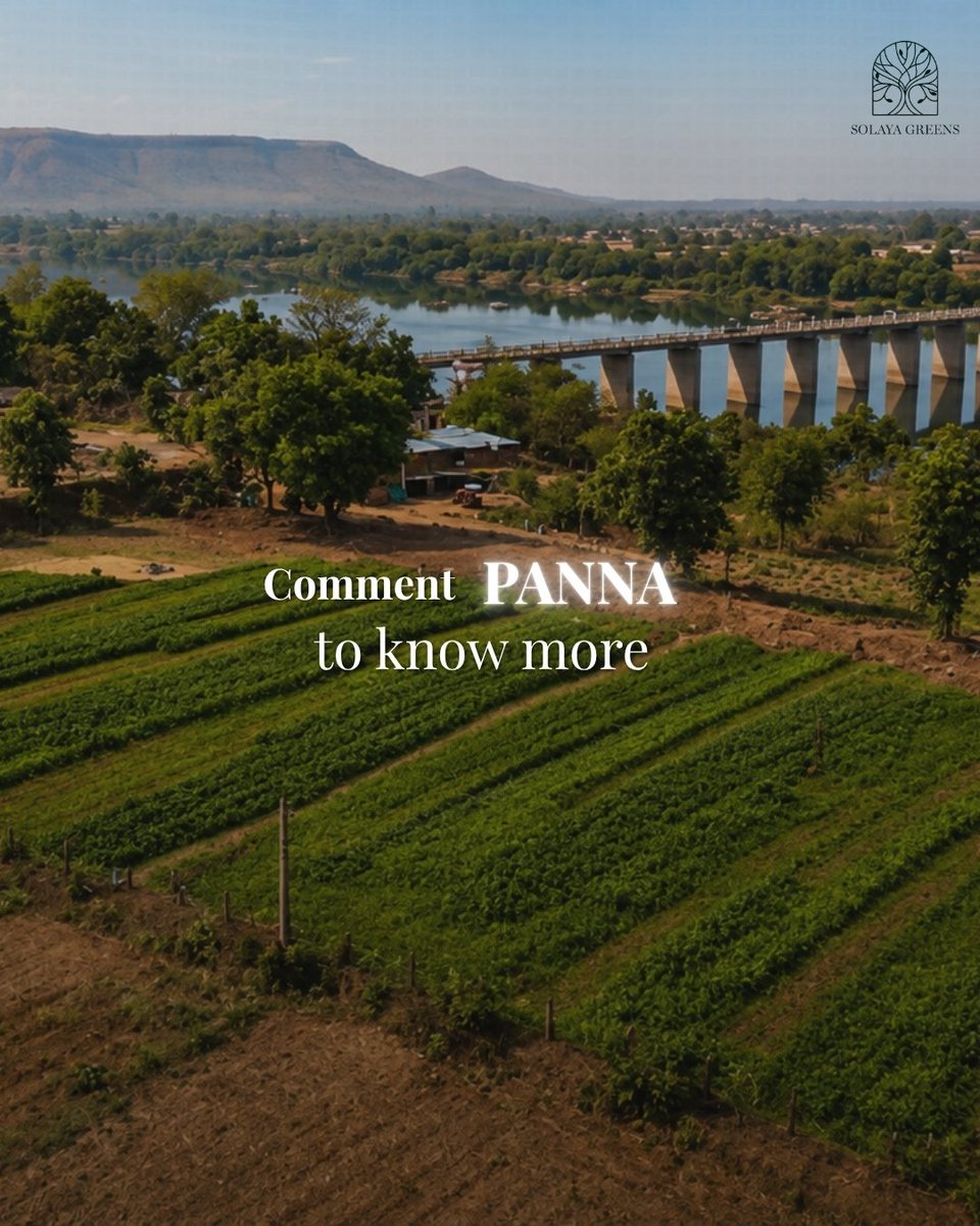 solayagreens's tweet photo. Also not so far by road
Gwalior → Khajuraho: ~4.5 hrs by road
Sometimes a place isn't really far.

It's simply less discovered.

Comment PANNA to know more. https://t.co/hyWjhKQB20