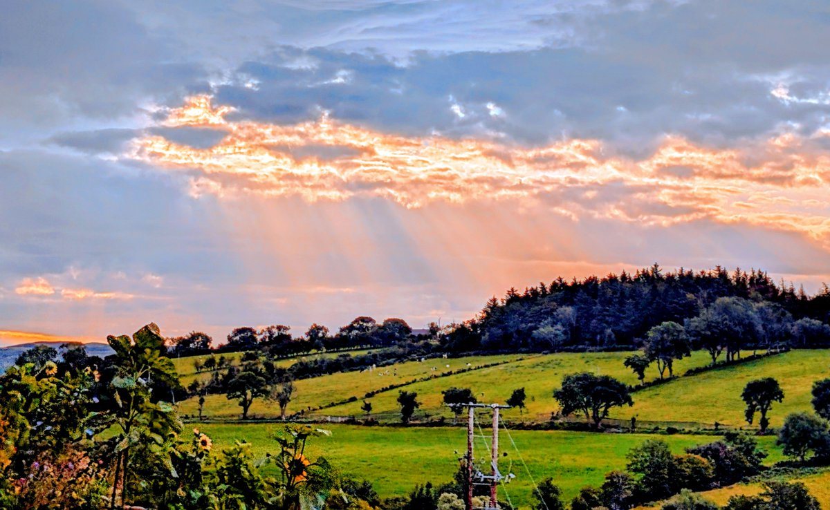 annlizkelly's tweet photo. Ever changing skies at sunrise in Ballycastle @bbcniweather @UTV @deric_tv @R_Faragher @linzilima @bbcweather  @LoveBallymena @WeatherCee  @Louise_utv @WeatherAisling @barrabest @Ailser99 @angie_weather @geoff_maskell @Ali_Totten @organicbotanic https://t.co/Vssmq4CDi6