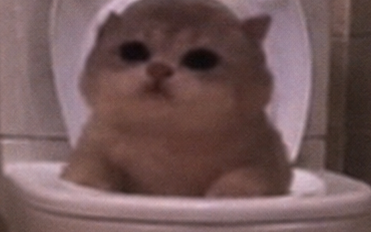 JamCatRH's tweet photo. give him a minute https://t.co/8CAcb6M0vQ