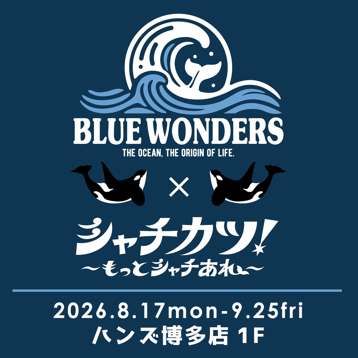 aratahitom's tweet photo. シャチやクジラの栞は、ブックマークとしてはもちろん、スマホケースに入れて楽しむのもおすすめです🐋

シャチは、寄り添って泳ぐ姿や親子の姿をデザイン。
クジラは、それぞれの種類ごとに異なる「エサの食べ方」をモチーフにしています。

読書の時間にも、毎日使うスマホにも。
↓ https://t.co/b9B9z0MfXe