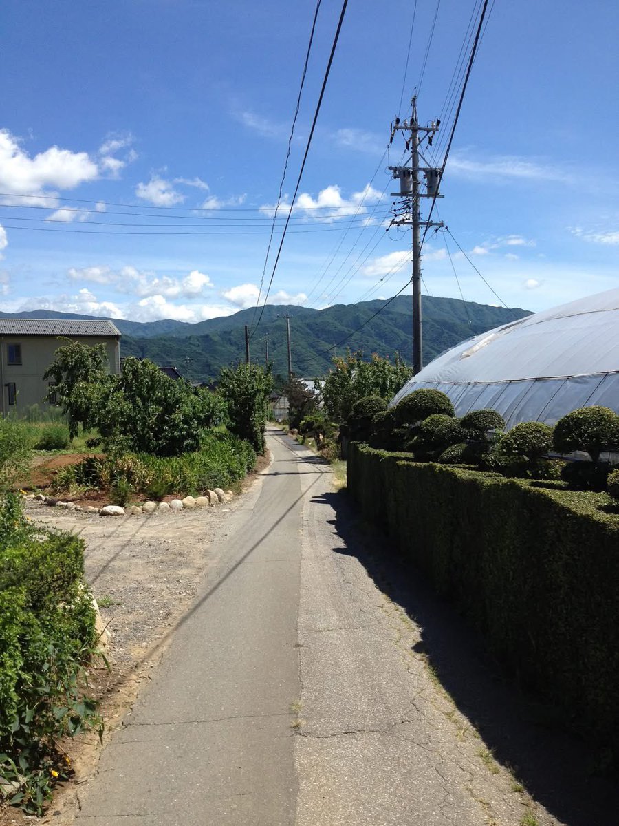 honnmamon's tweet photo. ほんま門です。

お盆休みですが13〜17日とさせていただきます！

本日（8/12）がお盆前の最終営業日となりますのでよろしくお願いします！ https://t.co/m6BmAFsHvE