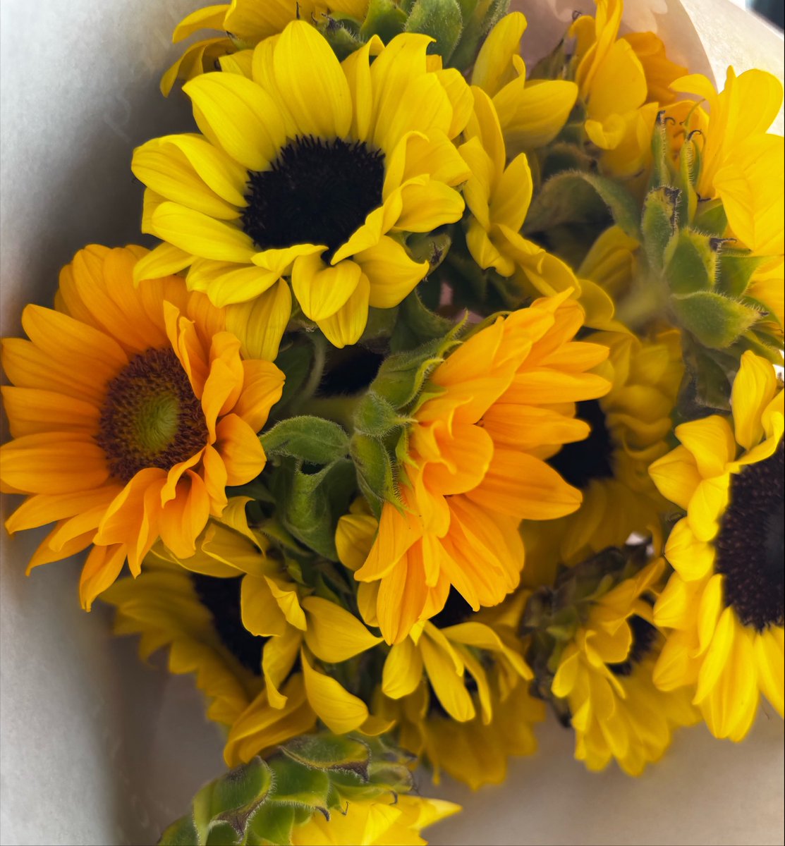 07kaname's tweet photo. 母のお墓にお供えするお花の向日葵を買占めてしまいました(´°ᗜ°)ﾊﾊｯ..
その数20本。
ごめんなさい🙇‍♀️ https://t.co/9H2lP3d6lM