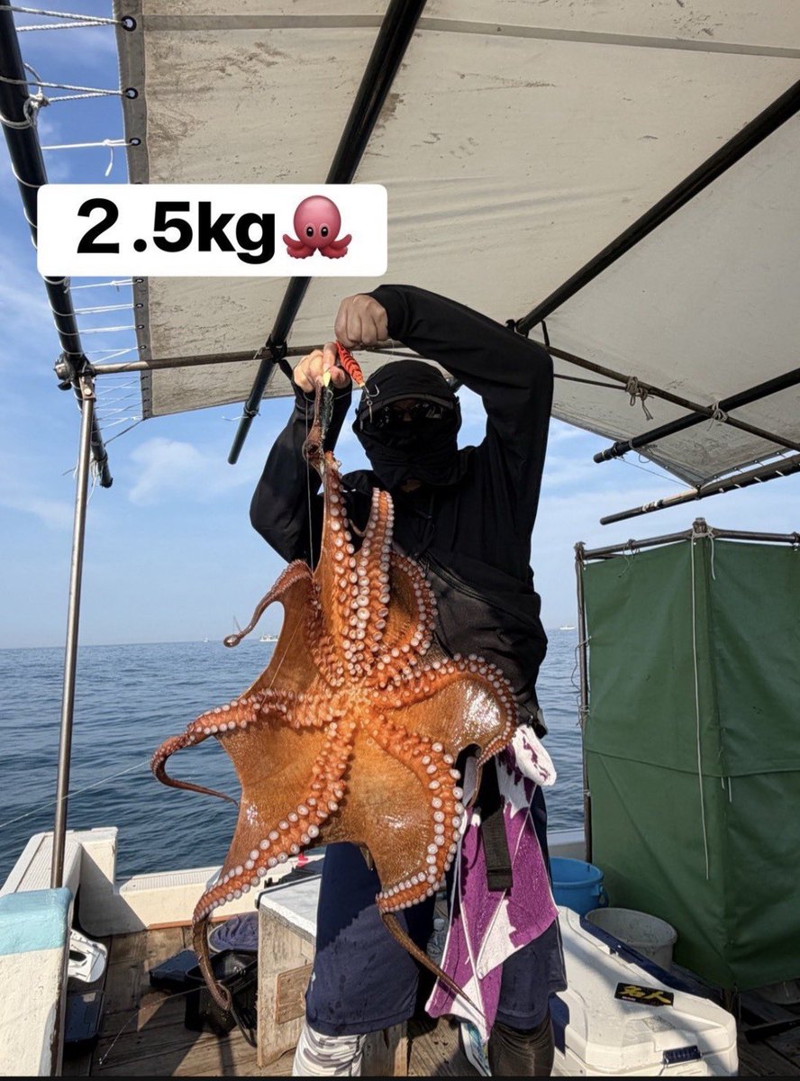 masami0402's tweet photo. 台風の影響が……😓
台風17号🌀の影響で、来週予定の釣りを早い目に断念😭
断念はシーズン4回目😰
水難事故に遭うことを思えば……😅

こんなの🐙また釣りたい🥳👍 https://t.co/V0MRMV2va8