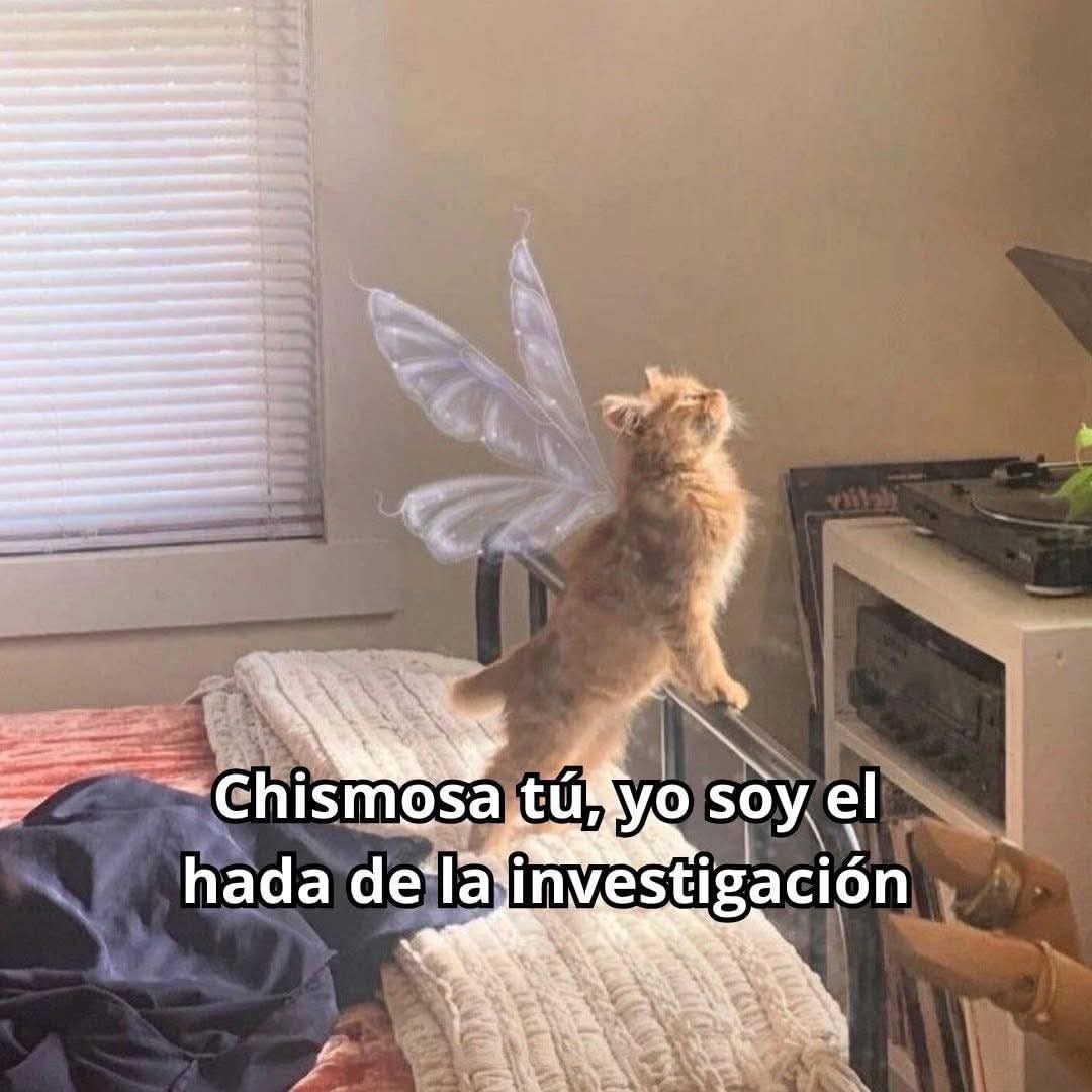 suspirxsalaire's tweet photo. https://t.co/Lg3kNRuXUw
