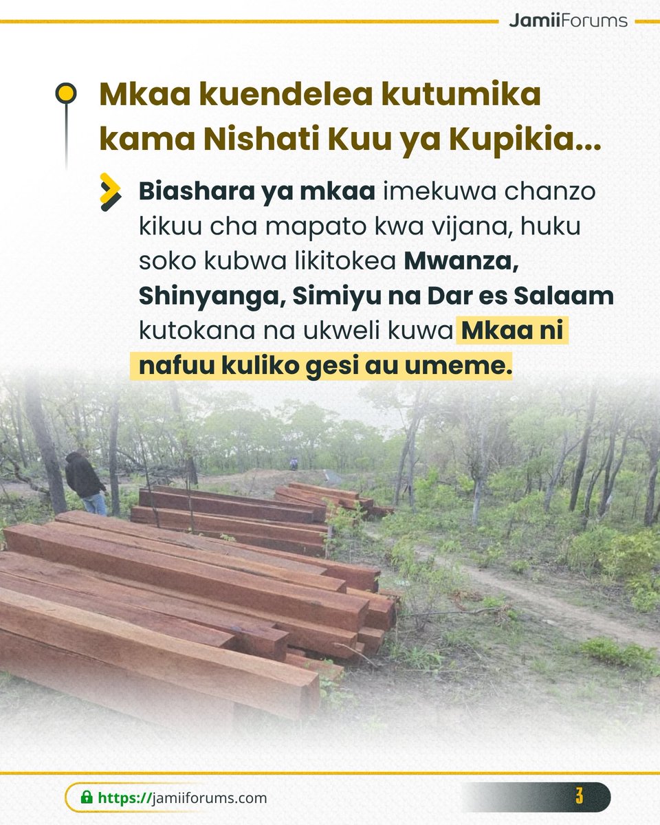 JamiiForums's tweet photo. Fuatilia kwa urefu makala hii na utoe maoni yako kupitia https://t.co/Y0pjaqcOfB
#JamiiForums #JFUTPC #Uwajibikaji https://t.co/qAwwde0oHm