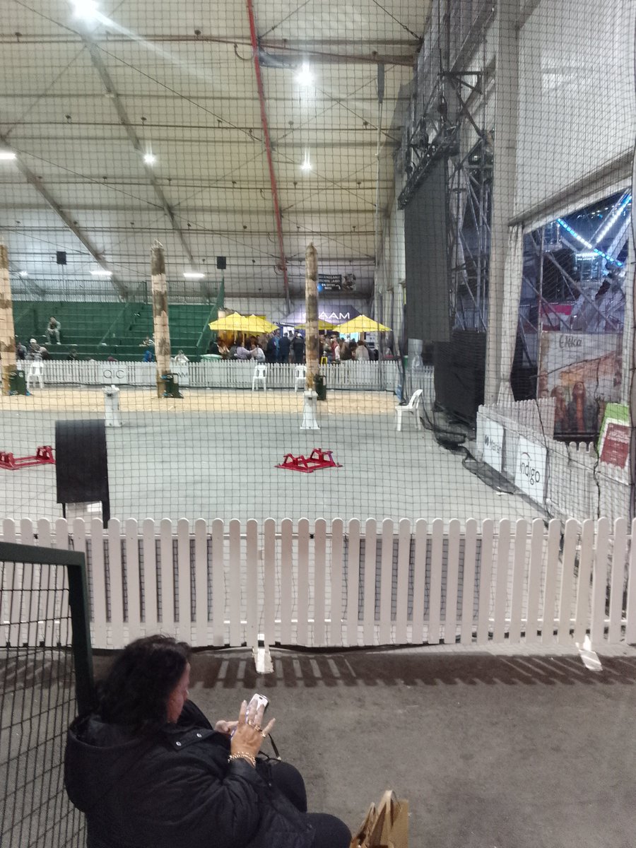 NelsonWan172's tweet photo. Brisbane Ekka 2026 https://t.co/EQ24NAI5xA