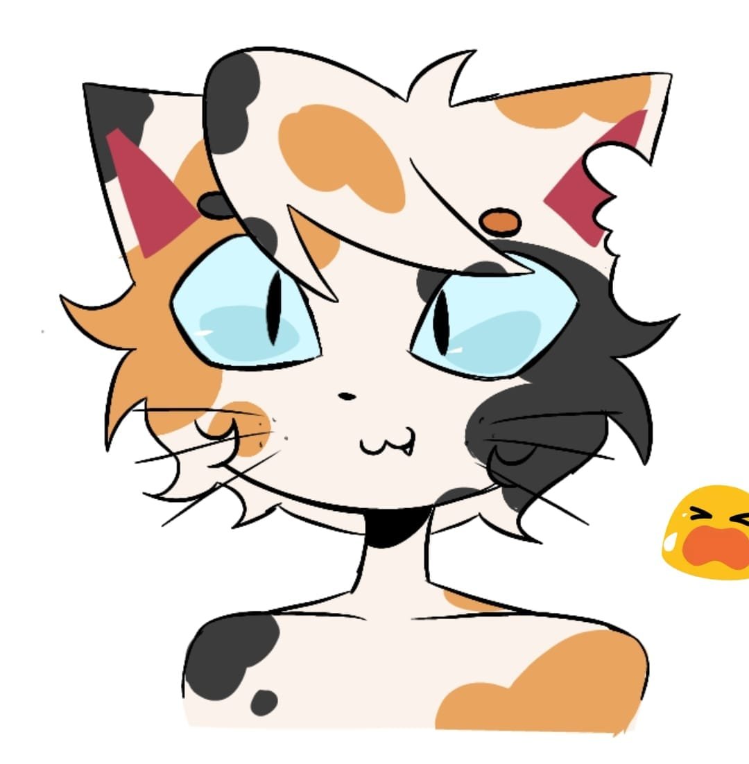 heybabescake's tweet photo. https://t.co/gltelGf2B4