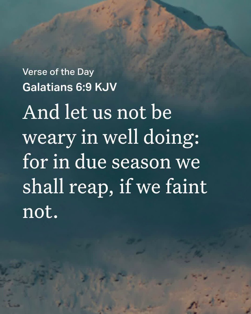 Godwakeupcall's tweet photo. #Verse4Today

Galatians 6:9 KJV
And let us not be weary in well doing: for in due season we shall reap, if we faint not. 
---------  

https://t.co/kzEC5b43Bf #RightlyDivideTheWordOfTruth #LessonStudy #Devotionals 

https://t.co/ju4NqMUwZ5 https://t.co/tfqYD90b3w