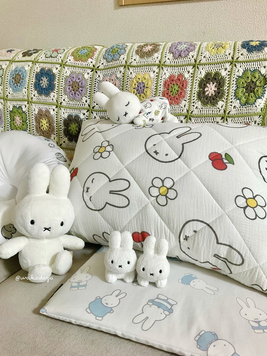 wakadeza's tweet photo. ミッフィーのガーゼ枕( ･×･ )ෆ⸒⸒

ガマンしてたんだけど、
今日行ったらお安くなってて、買ってしまった…🐰🐰 https://t.co/b0bh8l0TZd