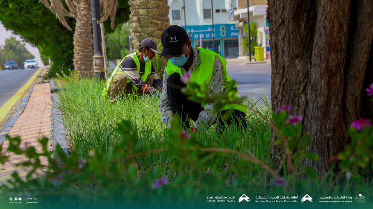 Rafha_Mu's tweet photo. 🌱|

تواصل #بلدية_محافظة_رفحاء أعمال الزراعة والعناية بالمسطحات الخضراء في الجزر الوسطية؛ ضمن جهود تحسين المشهد الحضري وتعزيز المظهر الجمالي للمحافظة. https://t.co/SfNyjov7H0
