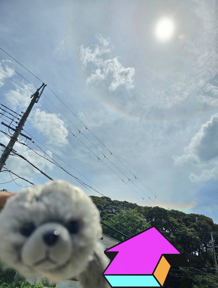 bazilstory's tweet photo. 先日、神社のある森の上空に…

環水平アーク、水平の虹が現れました🌈

撮影時、上空が眩しく

気がつかなかったのですが

写真を確認すると、太陽の周りに

虹色の光の輪、ハロも現れていました🌈

ダブルで神秘的です✨️💕

���ても縁起が良さそうです、感謝✨️🌿

今日もHappyに～🎵✨️🦭🫶😆🌿 https://t.co/nro3BcGJBW