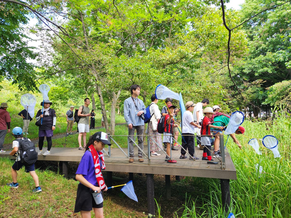 sapporodome_pr's tweet photo. 『生き物探検隊』の申込受付は今週の日曜日までです！

🦋申込・詳細はこちら🦋
https://t.co/DbHsXLVeZO

昨年はオオルリ��シヤンマなど多数のトンボや、ゴマダラカミキリ、蝶などたくさんの生き物に出会えました！
今年はどんな生き物たちに出会えるかな？

夏休み最後の土日はプレミストドームで生き物探しの旅に出よう♪

ご参加お待ちしてます💨

#大和ハウス_プレミストドーム #大和ハウスプレミストドーム #プレミストドーム #プレド #北海道 #札幌 #ドーム #プレミストドーム開業25���年 #プレド開業25周年  #北海道コンサドーレ札幌 #コンサドーレ #consadole #PASS連携企画 #生き物探検隊