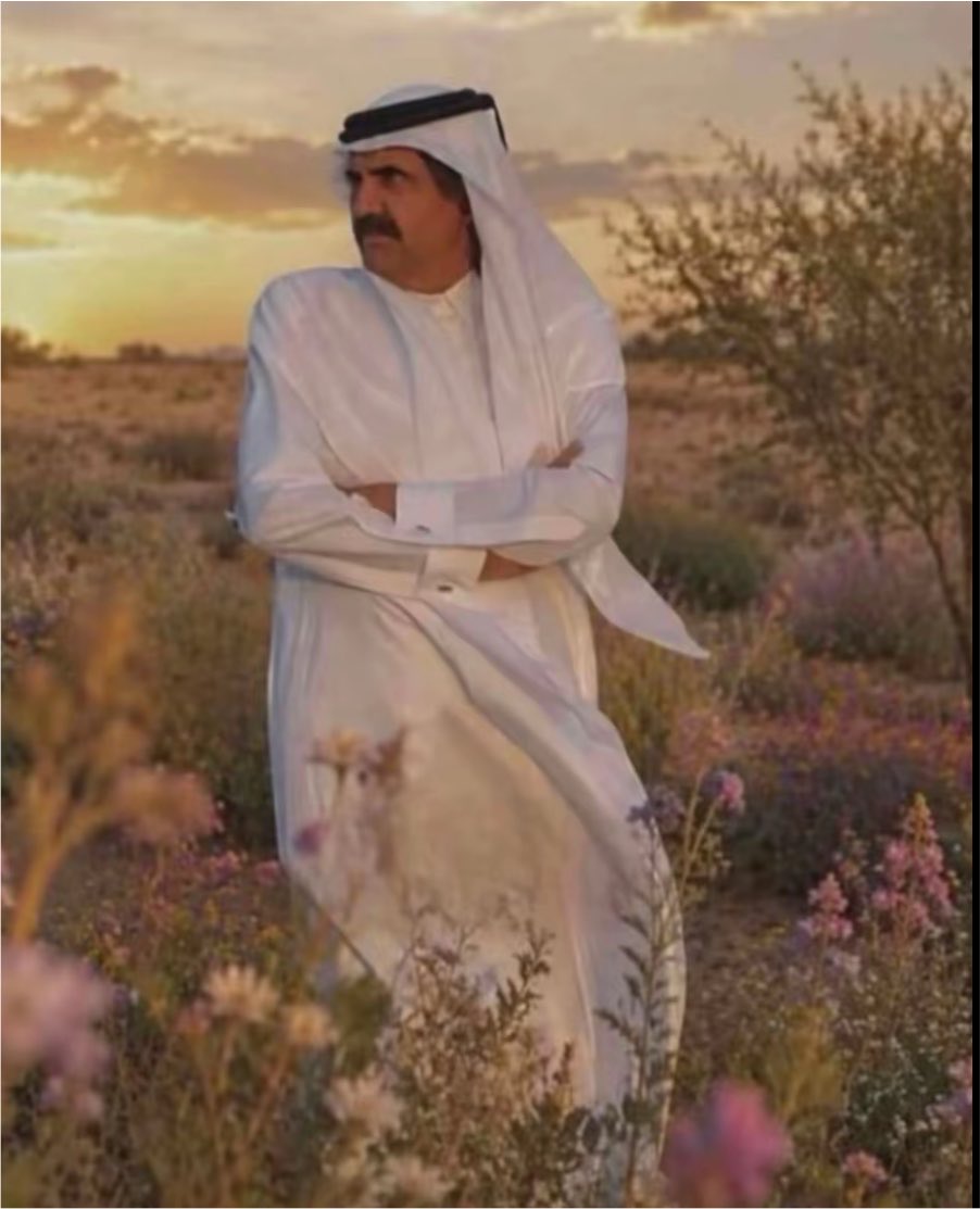 llovex0's tweet photo. كل جزء ف قطر خذ اهتمام كبير من قبل سموه
جعله الجنة الباردة😢💔 https://t.co/Xy7GV3wHzW