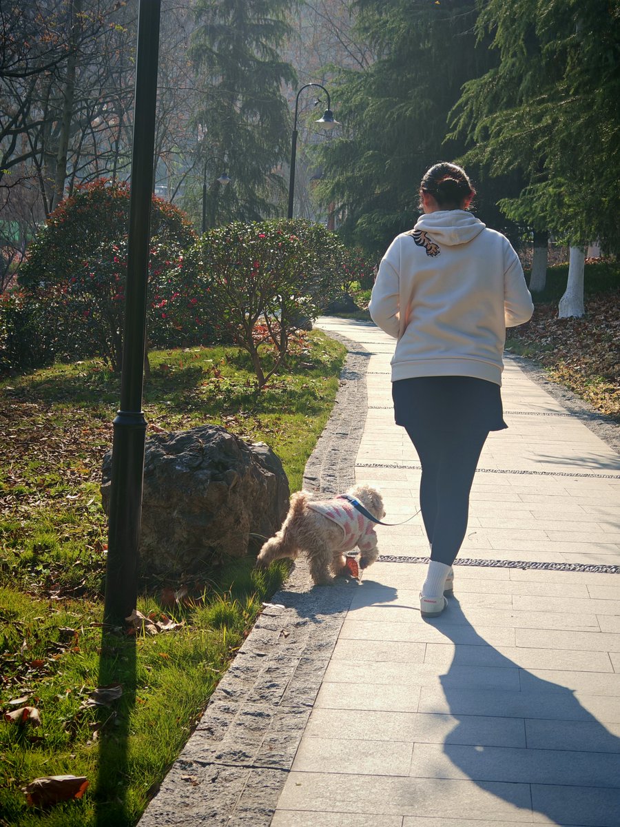 DivinaNorrell's tweet photo. Sunshine, 22°C, and fresh breeze – perfect for a casual walk around the park today! https://t.co/Ras8M86Tmb
