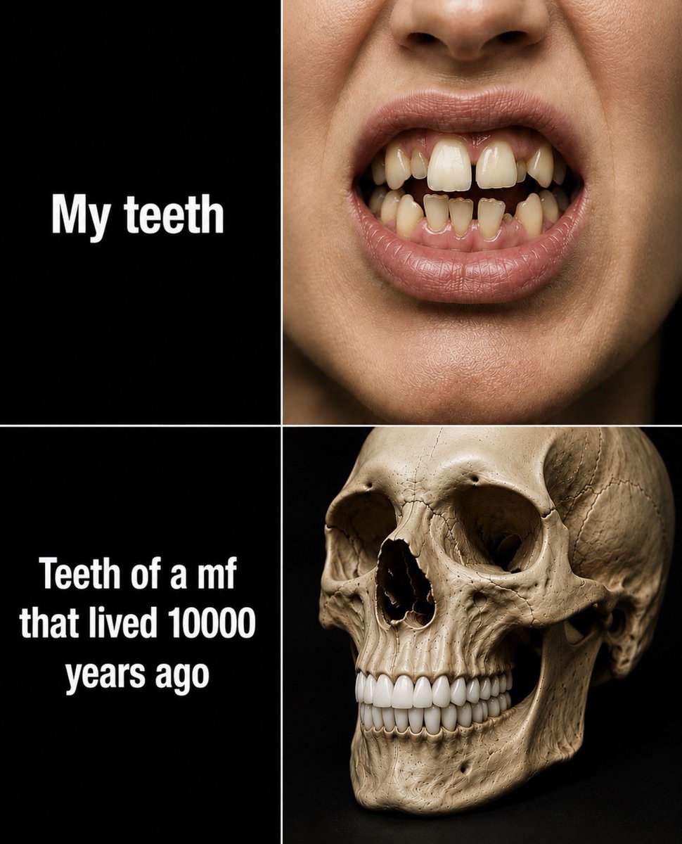 HumansNoContext's tweet photo. https://t.co/bjpP8bMYhn