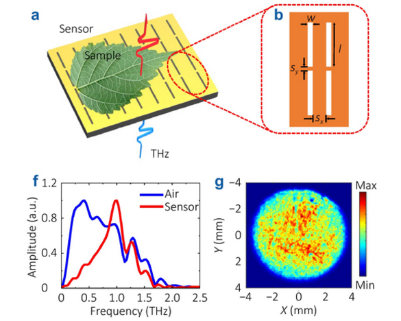 OptoElectronAdv's tweet photo. #OET_highlight Biological testing with terahertz focal-plane imaging based on a slot metamaterial sensor https://t.co/SzF1zyqr44 by Prof. #Shuanglin_Yue @PKU1898 #Xinke_Wang #Yan_Zhang #Capital_Normal_University #terahertz #THz #metamaterial #sensor #biosensing #deep_learning https://t.co/BKgchOioB4