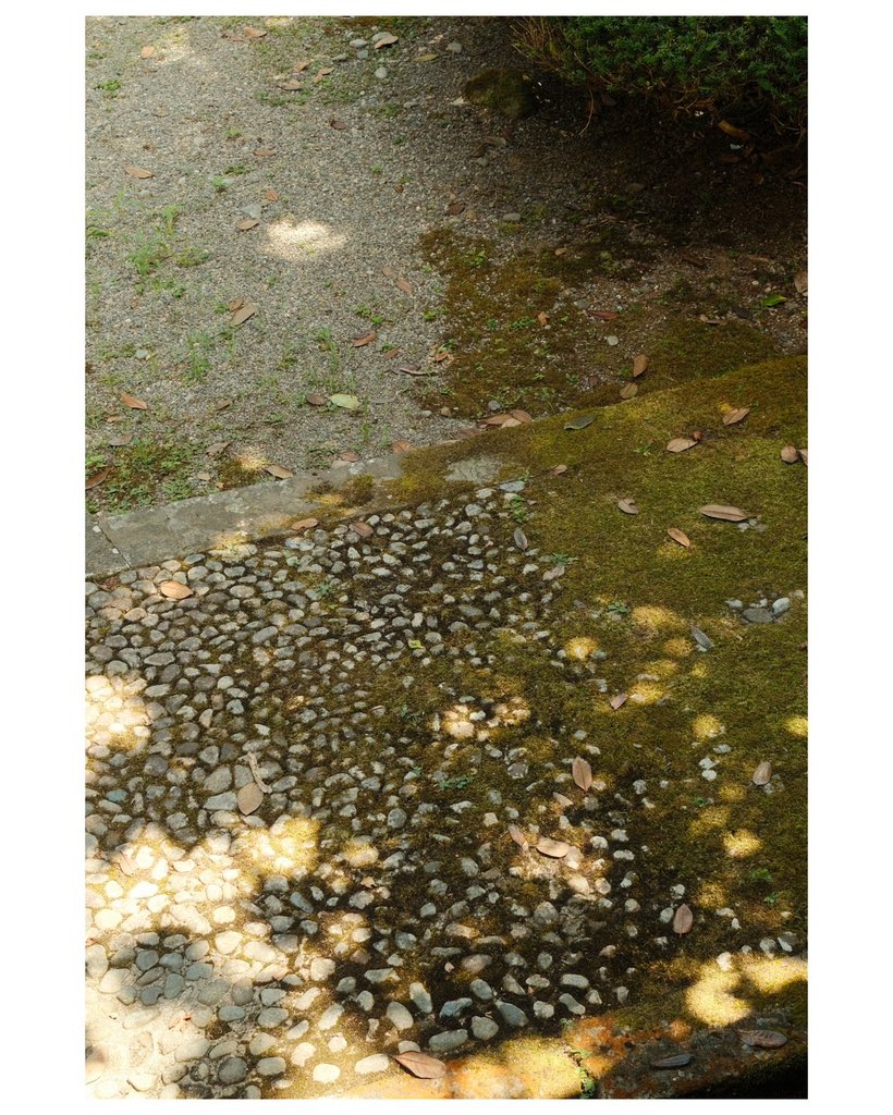 treasuremembers's tweet photo. 永平寺にて

#ASAHI #아사히 #朝光 https://t.co/puK97UoX0Y