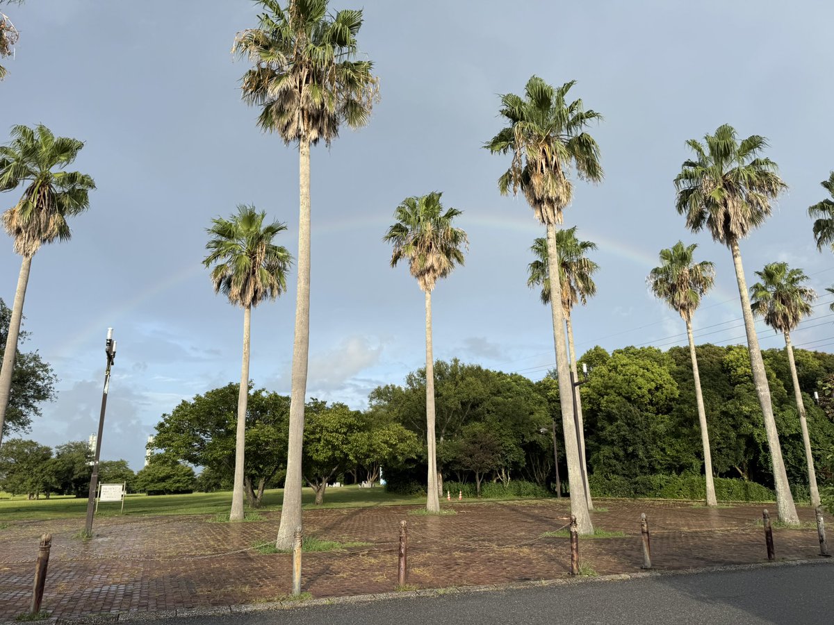 manualoha56's tweet photo. 虹🌈だー🌈#虹 https://t.co/kDV1t8RbQj