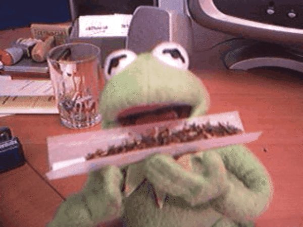 hotcoolkeed's tweet photo. me offering to help cause i love rolling up weed. https://t.co/ps8s1pjnbL