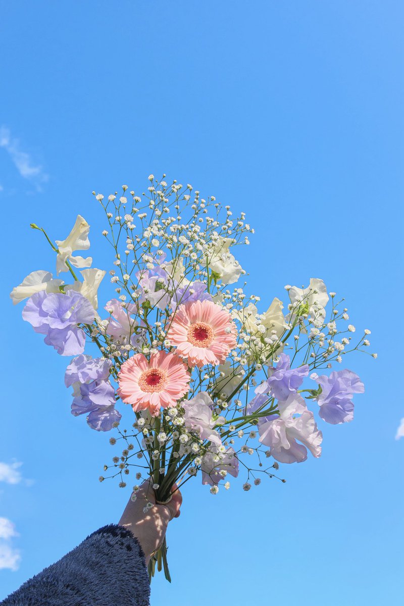 Noah_photobook's tweet photo. お花に癒されたい人に届きますように。 https://t.co/hW62lJ6vf5