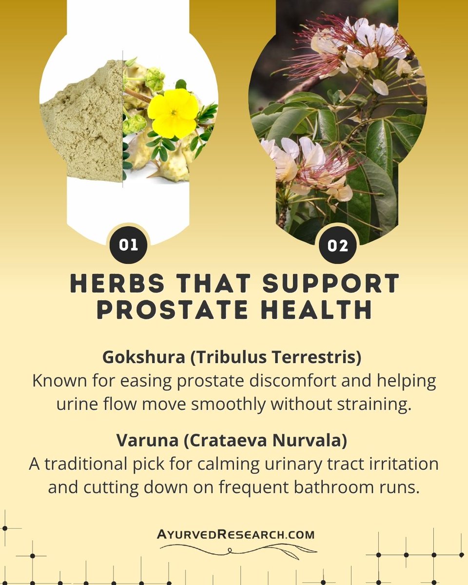 nfcure's tweet photo. Best Herbs for Prostate Issues and Healthy Urine Flow Naturally

Feel real relief! ✨🌿 https://t.co/3Kyuyx2tNS

Prostocure Capsule brings together Gokshura, Varuna, Putikaranja, Shatavari, and Elaichi in one herbal formula built for everyday prostate comfort.

#prostatesupport https://t.co/dHkhItwhe0