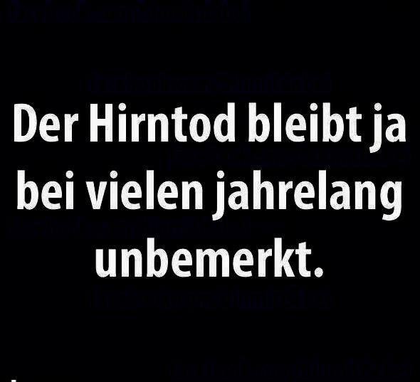 Lothar1698776's tweet photo. @Heb1164 https://t.co/pbFIYQyIwm
