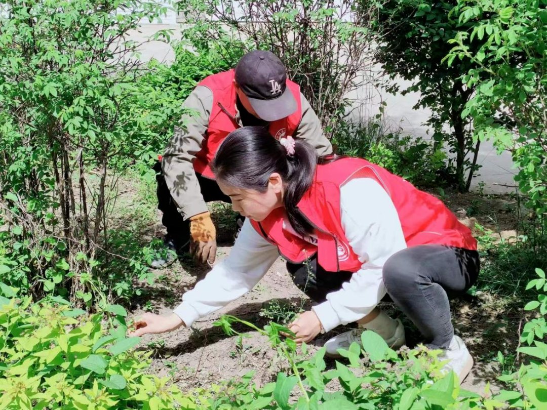 sakilrayma's tweet photo. Join us this Saturday morning for a neighborhood park cleanup! Bring gloves, we’ll provide snacks—let’s make our community greener together!， https://t.co/rgcOnjOtj9
