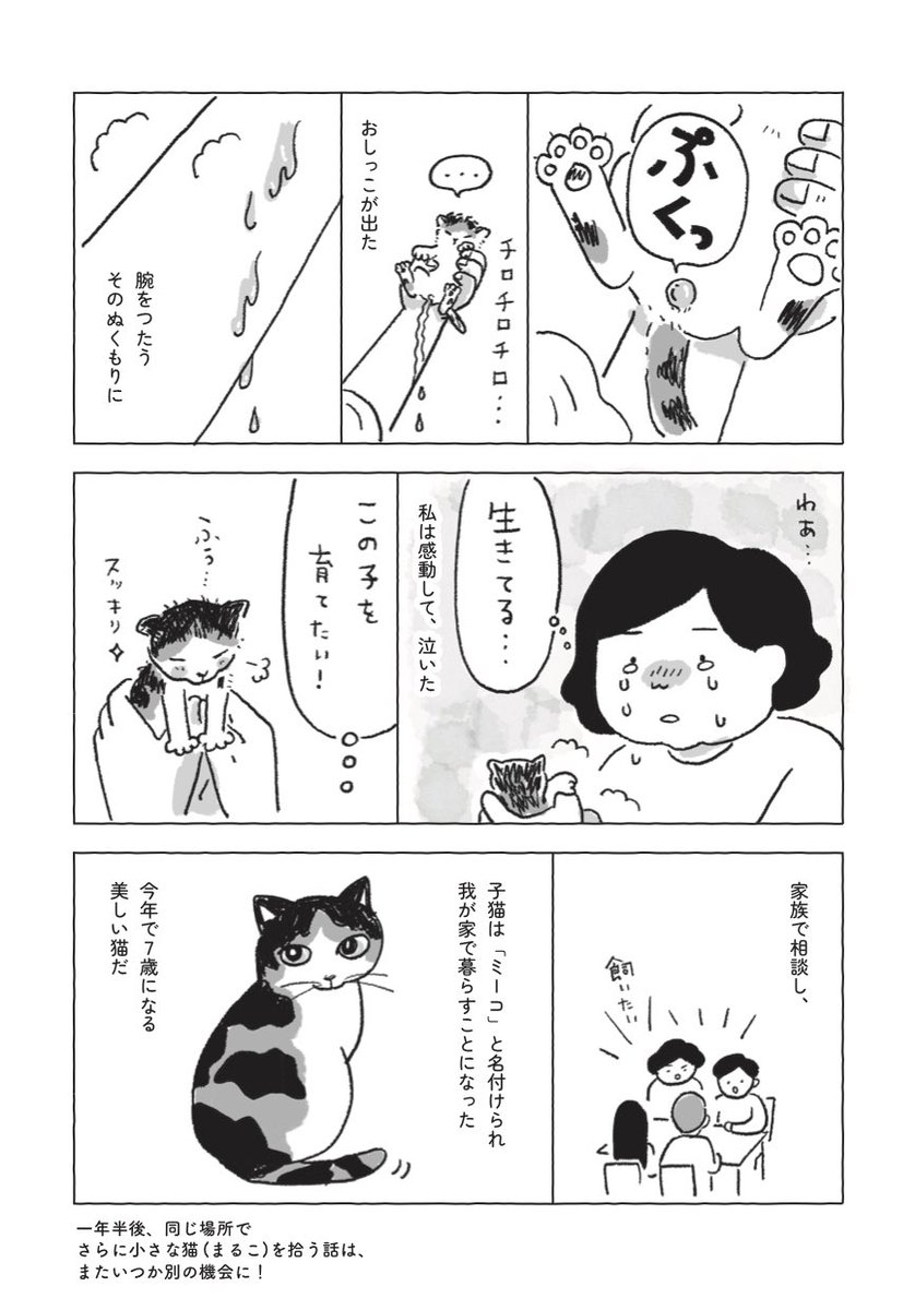mow0122's tweet photo. ミーコを拾った日(2/2) https://t.co/BCYbluGExy