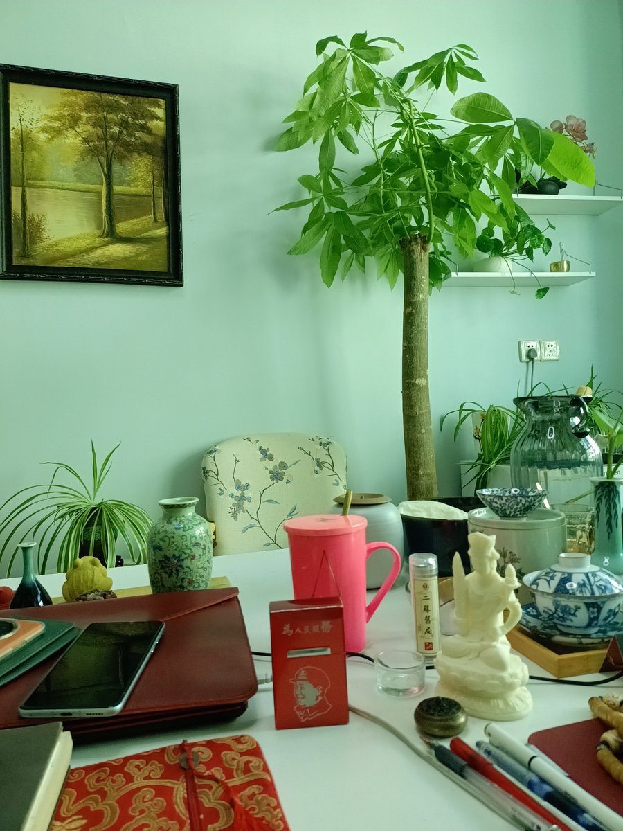 Stephanie11719's tweet photo. [When my desk plant outgrew my office… I started bringing it to meetings. My boss just asked if it’s the new “collateral for green initiatives”. Win ]， https://t.co/nkyRAwxoZY